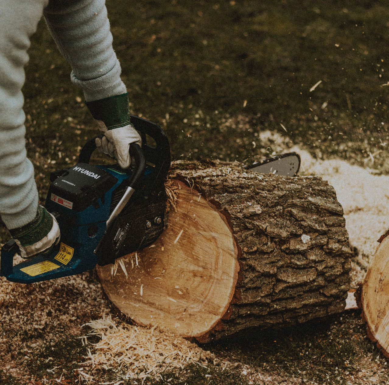 c2256dc02522592348434cbe36610d18@2x person using saw to cut through tree trunk